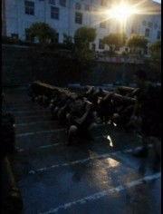 军网大全视频在线观看 第2张 军网大全视频在线观看 第2张