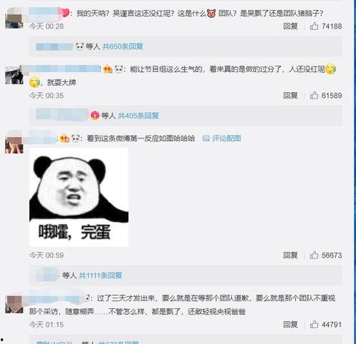 吴瑾言最新爆料视频播放,幕后故事大公开 第2张 吴瑾言最新爆料视频播放,幕后故事大公开 第2张