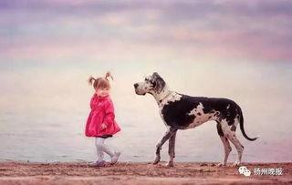 泉州爆料大狗视频,究竟何方神圣？