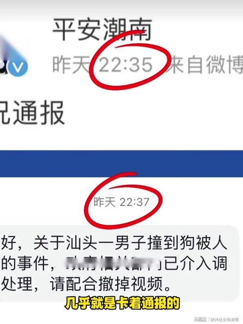 爆料低价视频博主有哪些,低成本内容创作背后的秘密 第2张 爆料低价视频博主有哪些,低成本内容创作背后的秘密 第2张